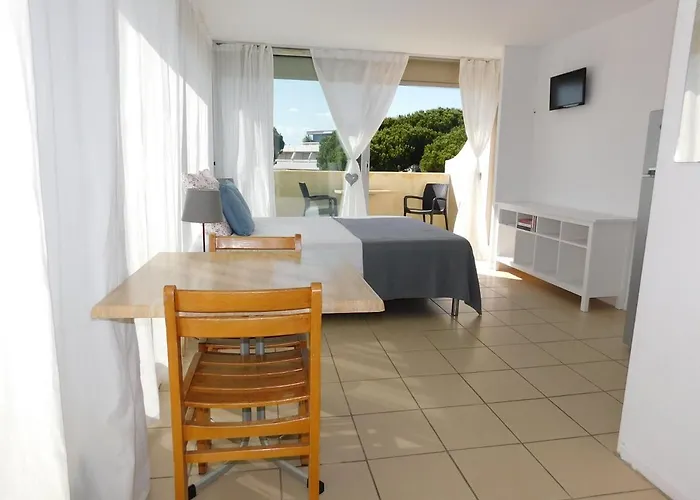 Studio 38 Climatise Balcon Vue Mer